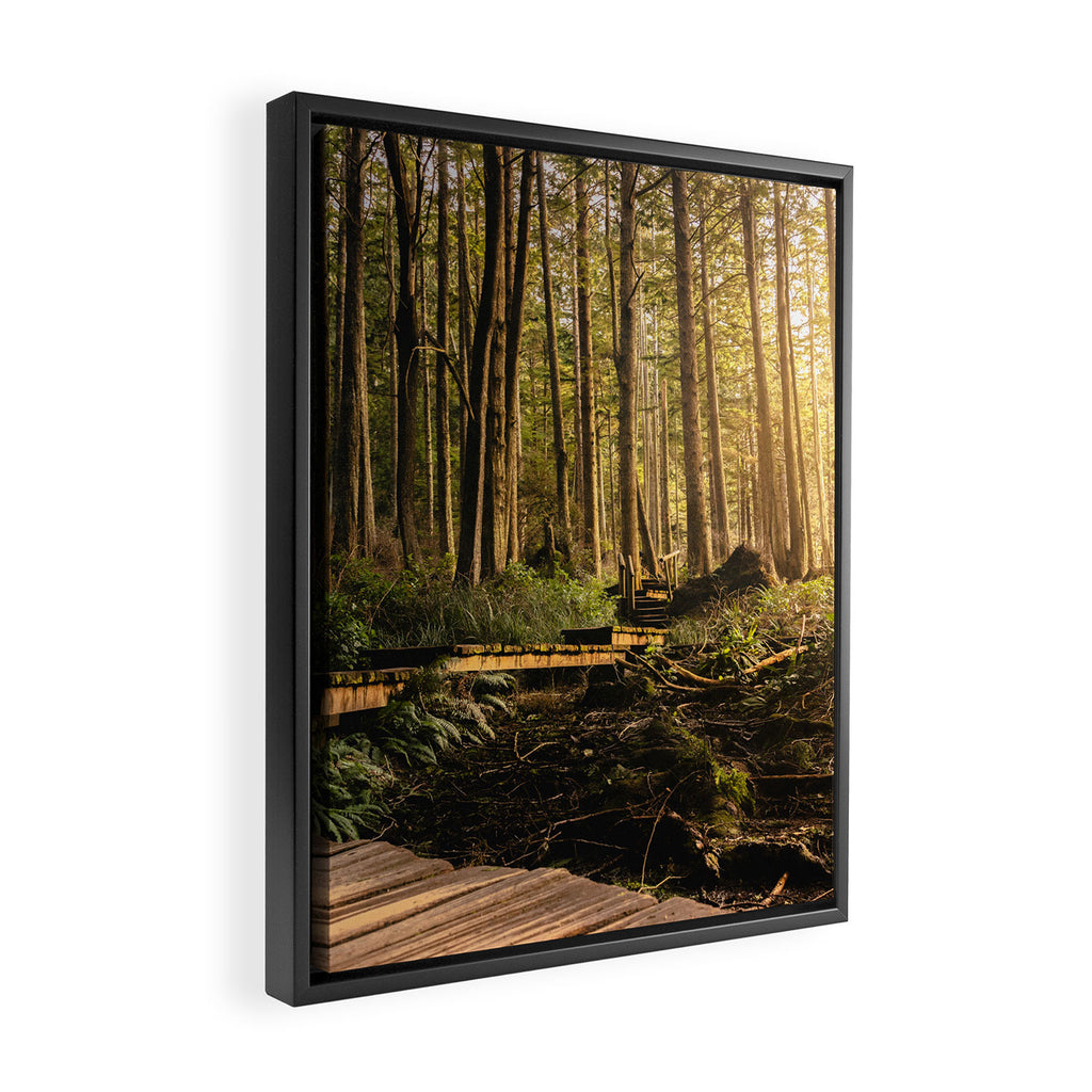 Forest Mountain Wanderlust Boardwalk - Nature Photography Framed Canvas Print Gallery Image 2