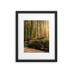 Forest Mountain Wanderlust Boardwalk - Nature Photography Framed Art Print Gallery Image 5