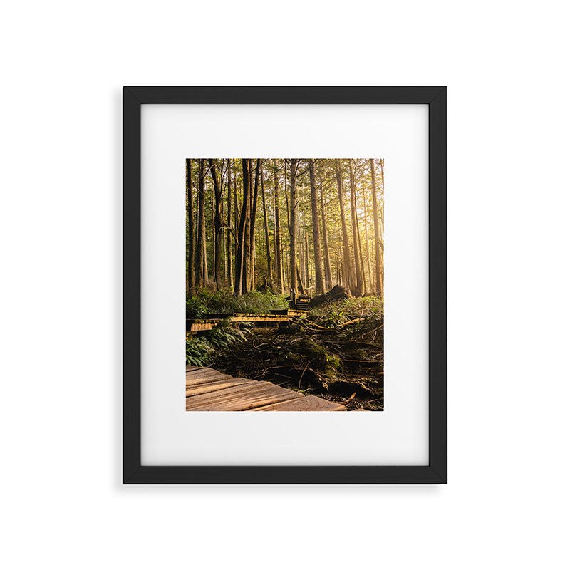 Forest Mountain Wanderlust Boardwalk - Nature Photography Framed Art Print Gallery Image 5