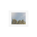 Forest Sunrise - Nature Photography Art Print Gallery Image 1