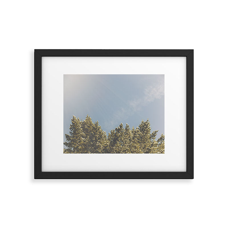 Forest Sunrise - Nature Photography Framed Art Print Gallery Image 5