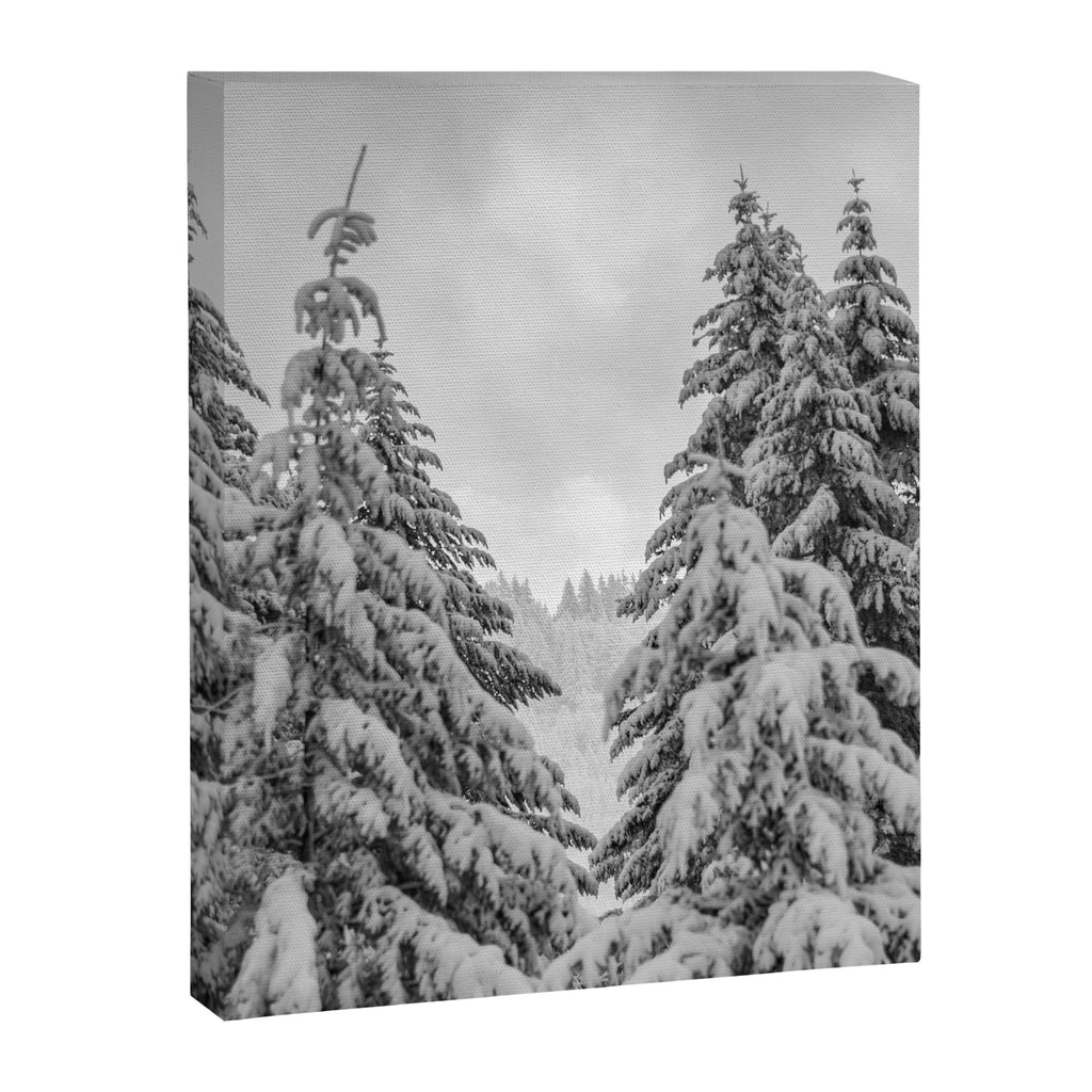 Forest Winter Window - 45/365 Nature Photography Canvas Print Gallery Image 6
