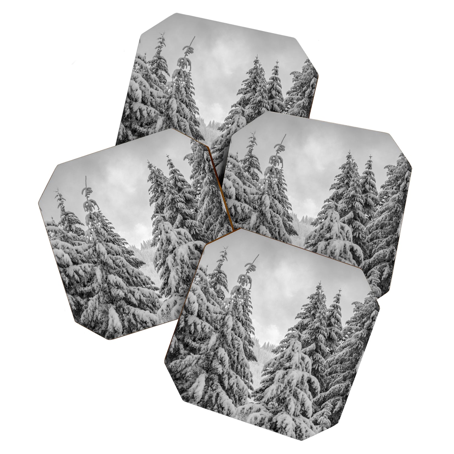 Forest Winter Window - 45/365 Nature Photography Coaster Gallery Image 1