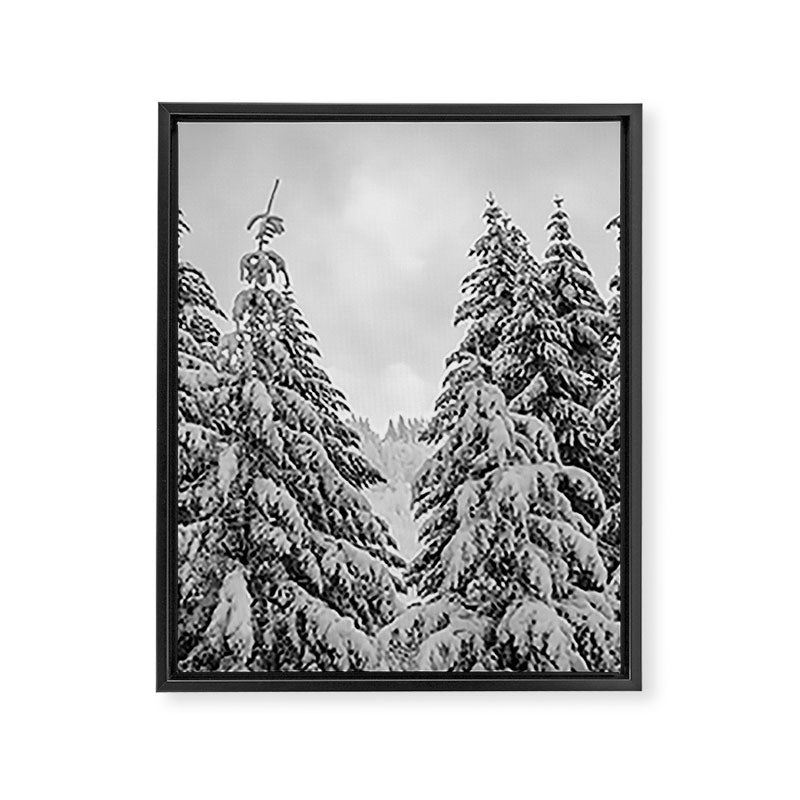 Forest Winter Window - 45/365 Nature Photography Framed Canvas Print Gallery Image 6
