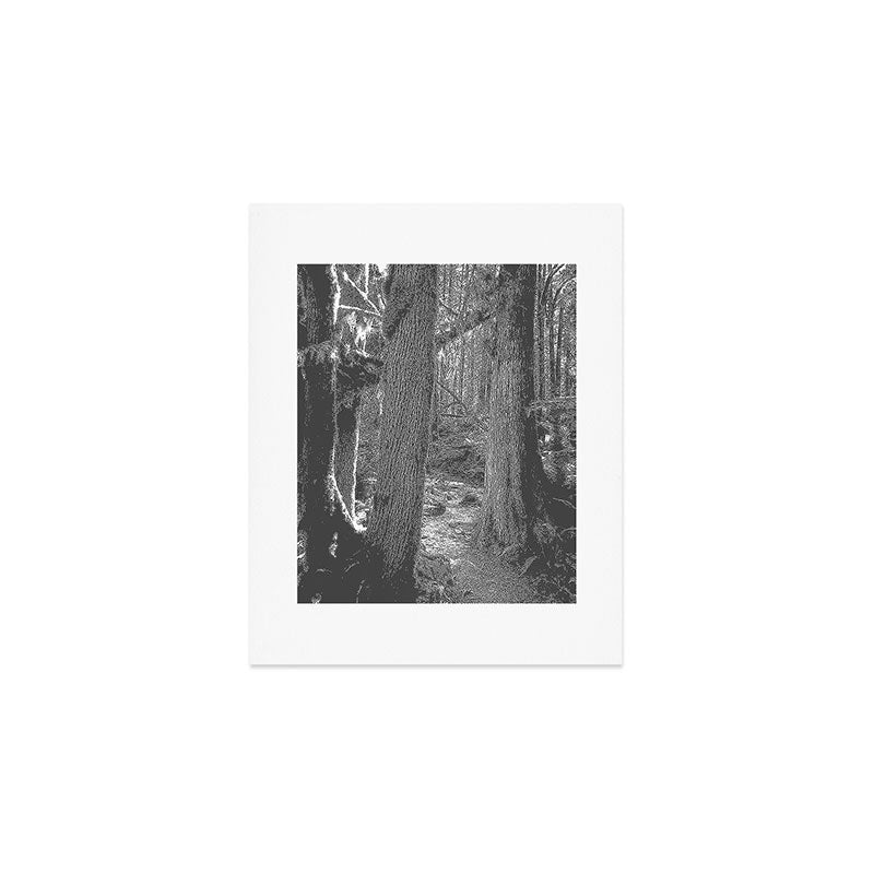 Forest Wonderland - Black and White Nature Photography Art Print Gallery Image 1