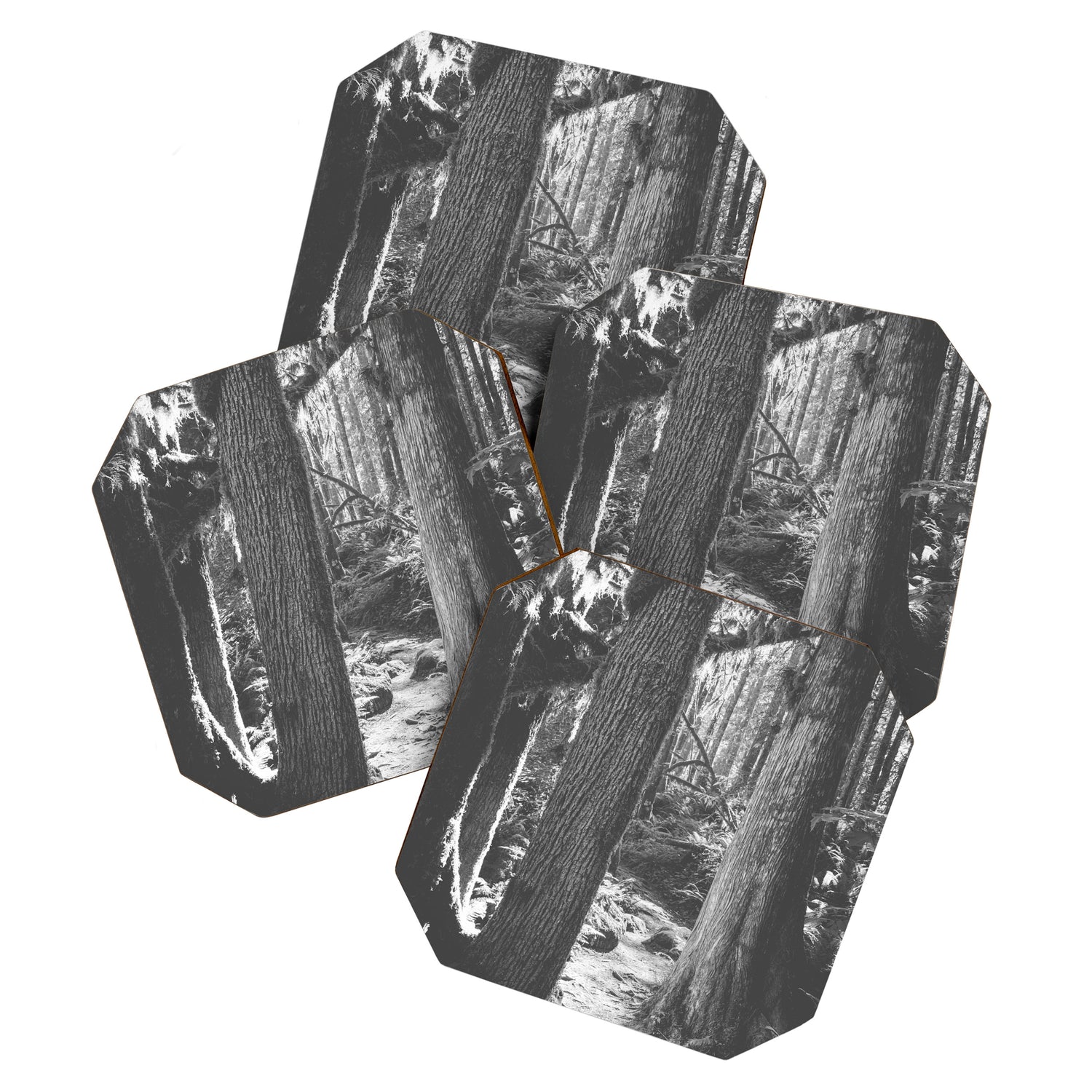 Forest Wonderland - Black and White Nature Photography Coaster Gallery Image 1