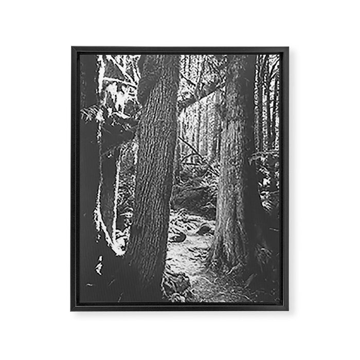 Forest Wonderland - Black and White Nature Photography Framed Canvas Print Gallery Image 1