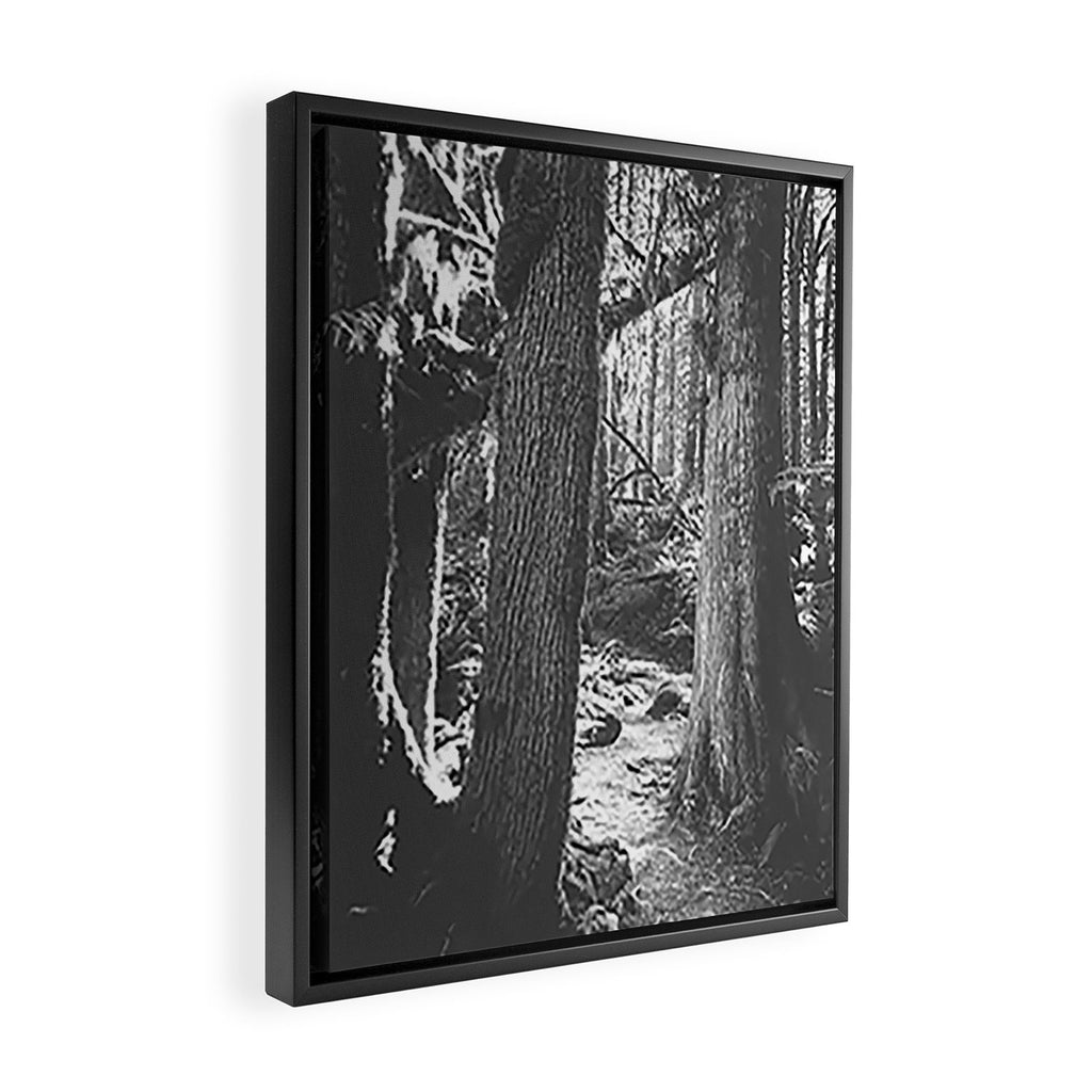 Forest Wonderland - Black and White Nature Photography Framed Canvas Print Gallery Image 2