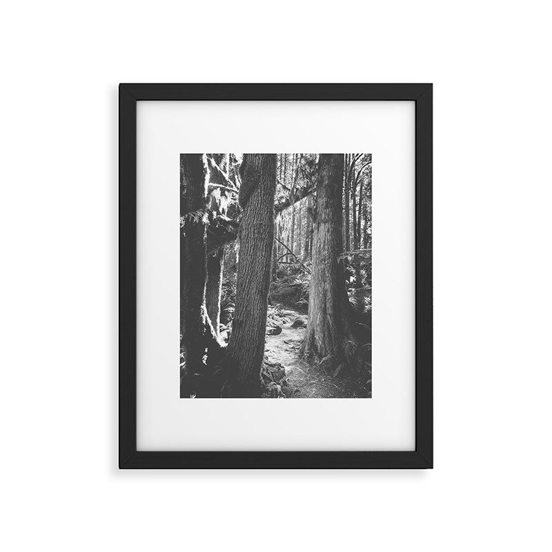 Forest Wonderland - Black and White Nature Photography Framed Art Print Gallery Image 5