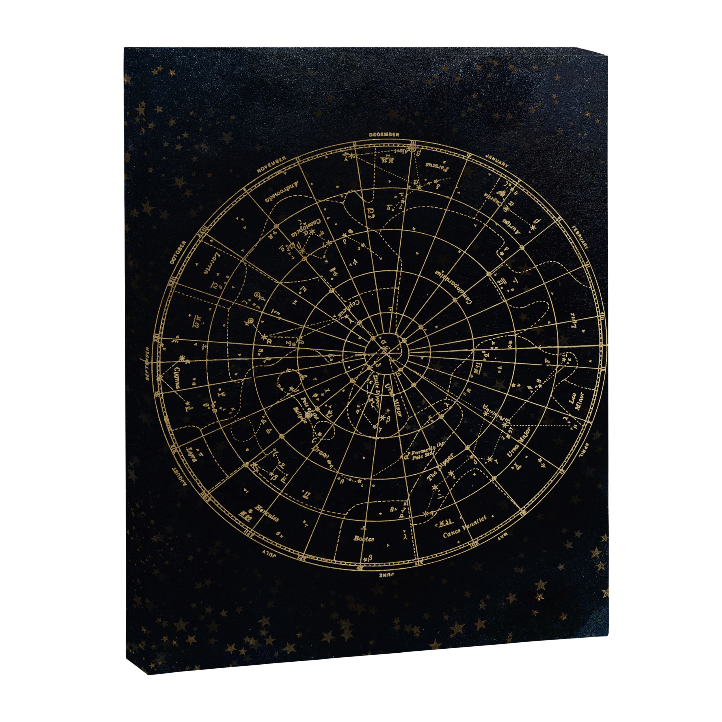 Golden Star Map Canvas Print Gallery Image 8