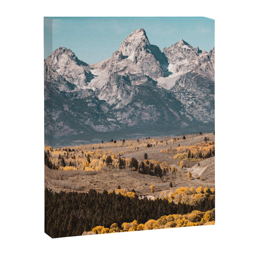 Grand Teton National Park Autumn Aspen Landscape Canvas Print Gallery Image 6