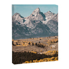 Grand Teton National Park Autumn Aspen Landscape Canvas Print Gallery Image 6