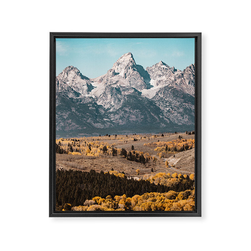 Grand Teton National Park Autumn Aspen Landscape Framed Canvas Print Gallery Image 6