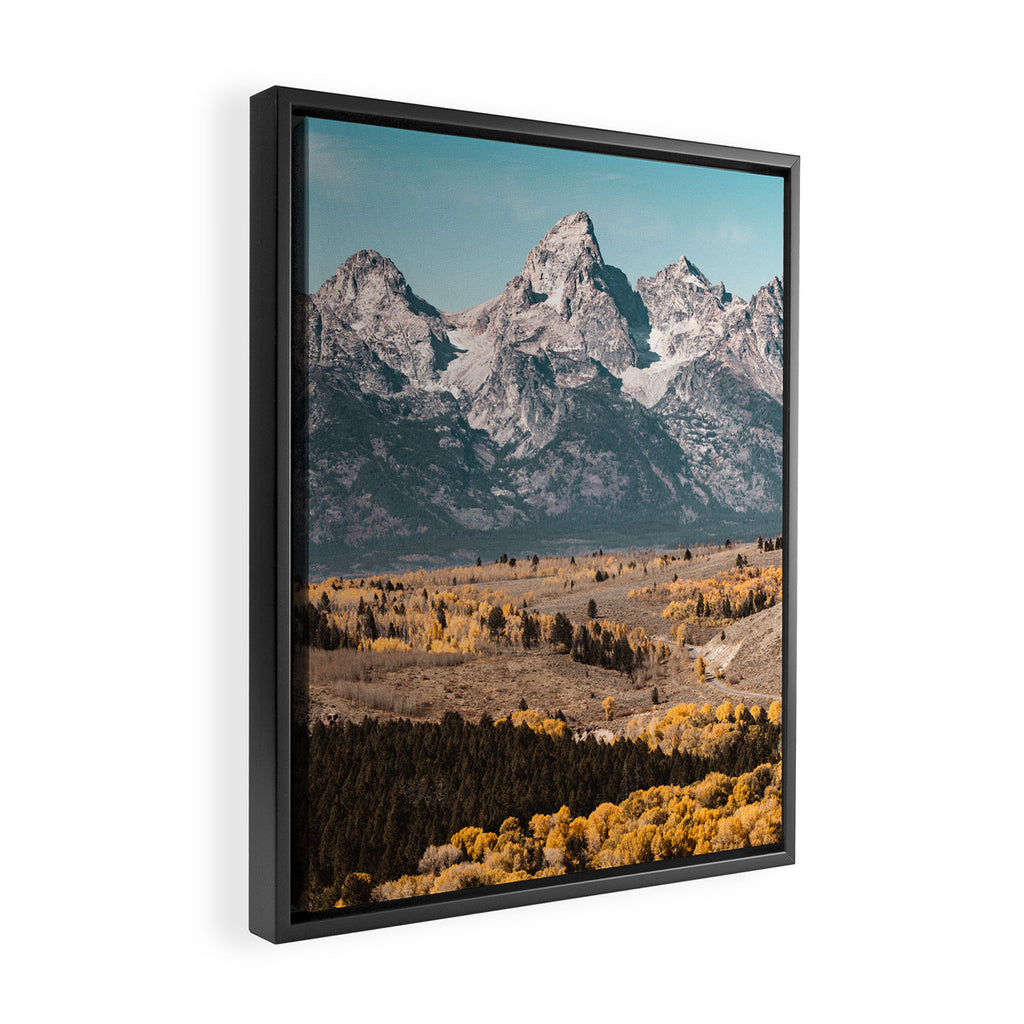 Grand Teton National Park Autumn Aspen Landscape Framed Canvas Print Gallery Image 2