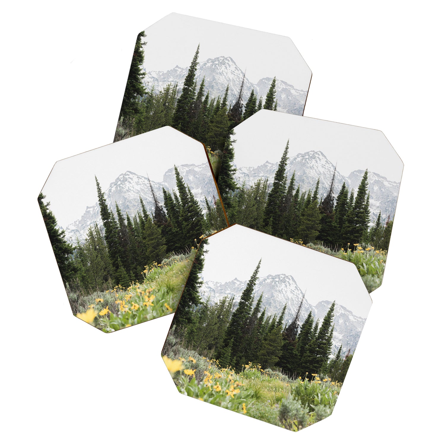 Grand Teton National Park Wildflower Adventure - Wanderlust Mountains Coaster Gallery Image 1