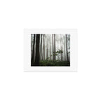 Great Smoky Mountains National Park - Forest Fog Adventure Art Print Gallery Image 1