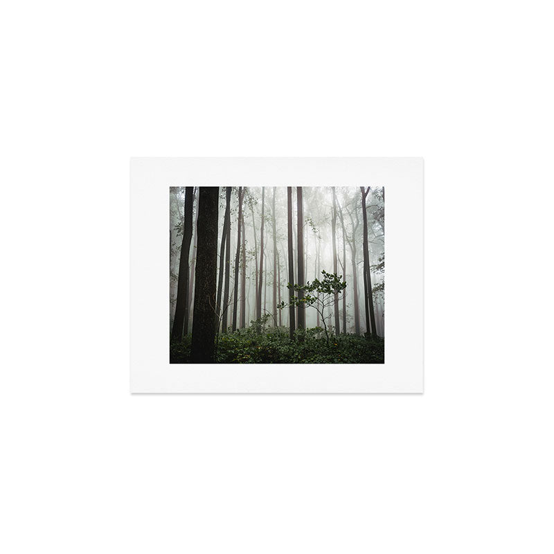 Great Smoky Mountains National Park - Forest Fog Adventure Art Print Gallery Image 1