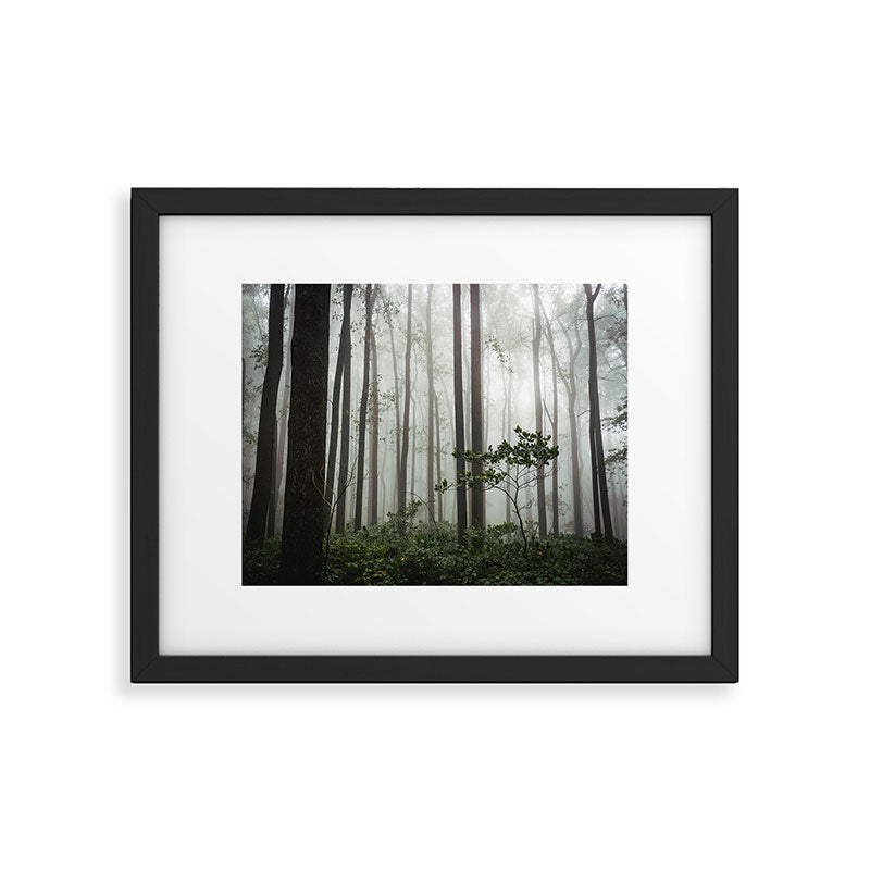 Great Smoky Mountains National Park - Forest Fog Adventure Framed Art Print Gallery Image 5