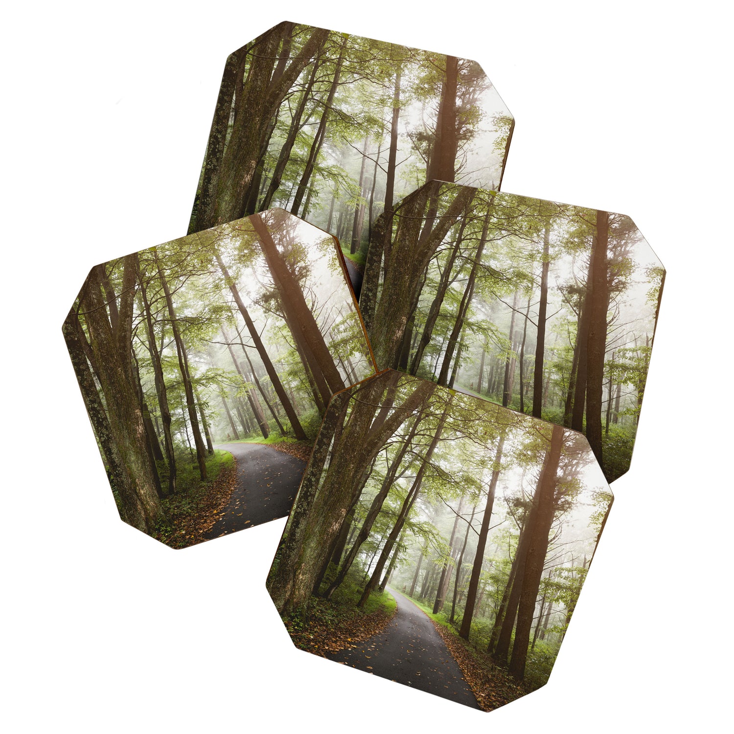 Great Smoky Mountains National Park - Road Trip Adventure II Coaster Gallery Image 1