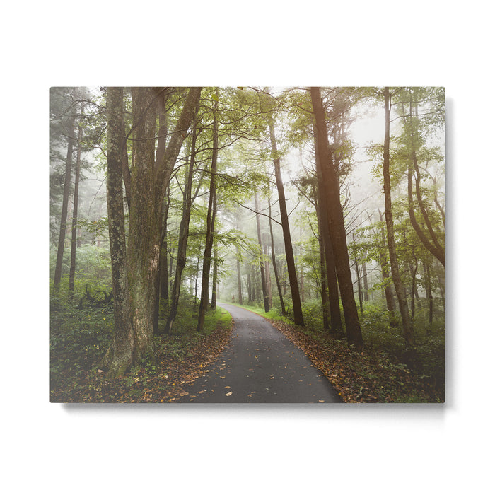 Great Smoky Mountains National Park - Road Trip Adventure II Metal Print Gallery Image 1
