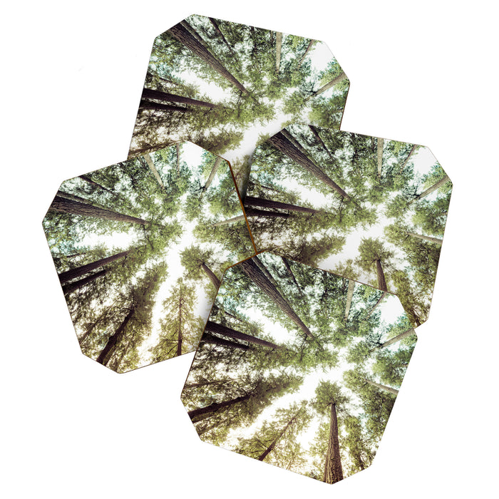 Green Forest Sky Trees Coaster Gallery Image 1