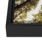 Green Forest Sky Trees Framed Canvas Print Gallery Image 3
