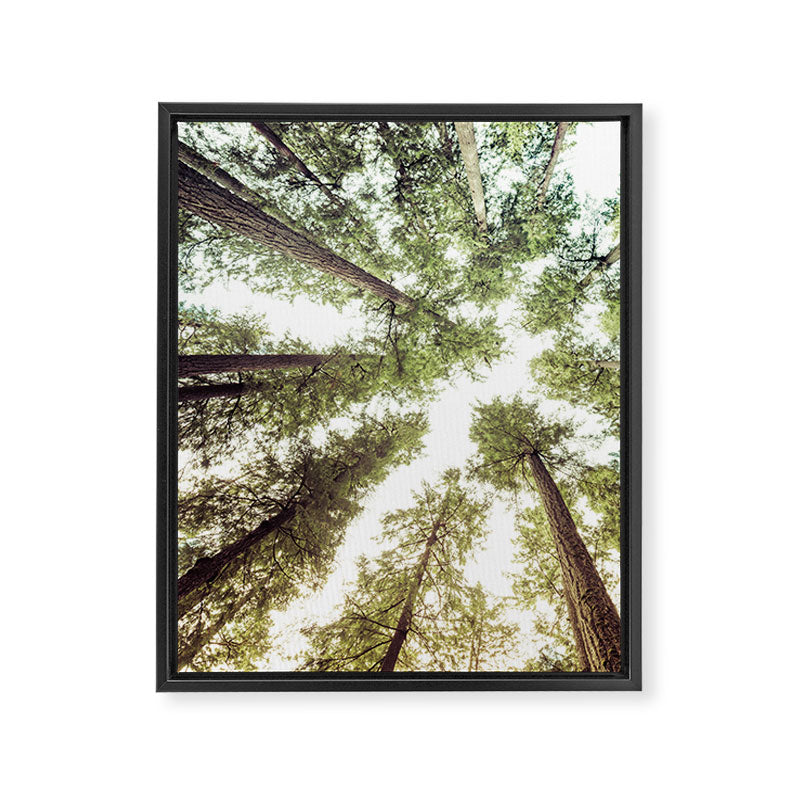 Green Forest Sky Trees Framed Canvas Print Gallery Image 8