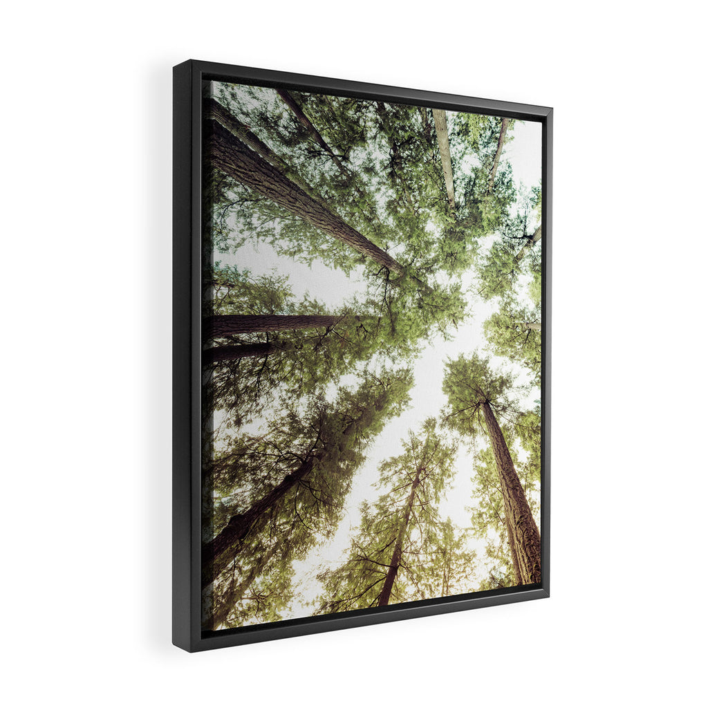 Green Forest Sky Trees Framed Canvas Print Gallery Image 2