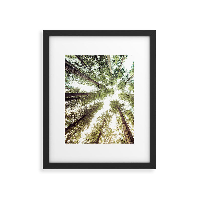 Green Forest Sky Trees Framed Art Print Gallery Image 6