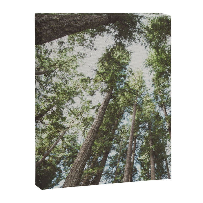 Higher Canvas Print Gallery Image 1