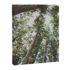 Higher Canvas Print Gallery Image 6