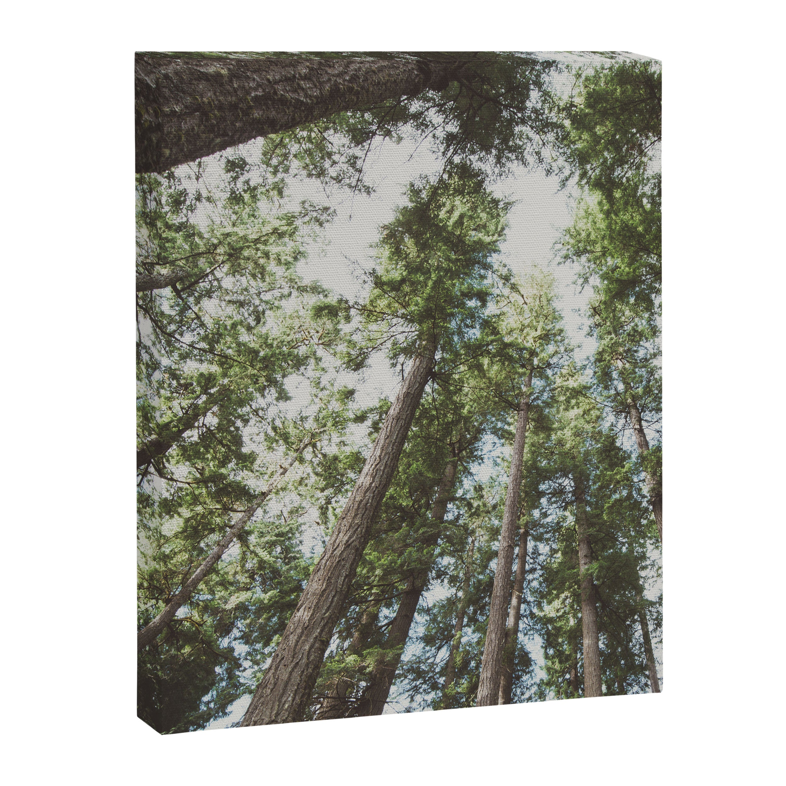 Higher Canvas Print Gallery Image 6