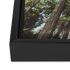 Higher Framed Canvas Print Gallery Image 3