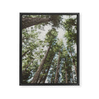 Higher Framed Canvas Print Gallery Image 6