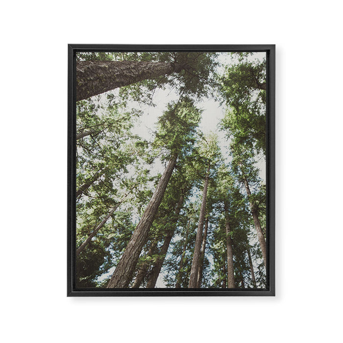 Higher Framed Canvas Print Gallery Image 1