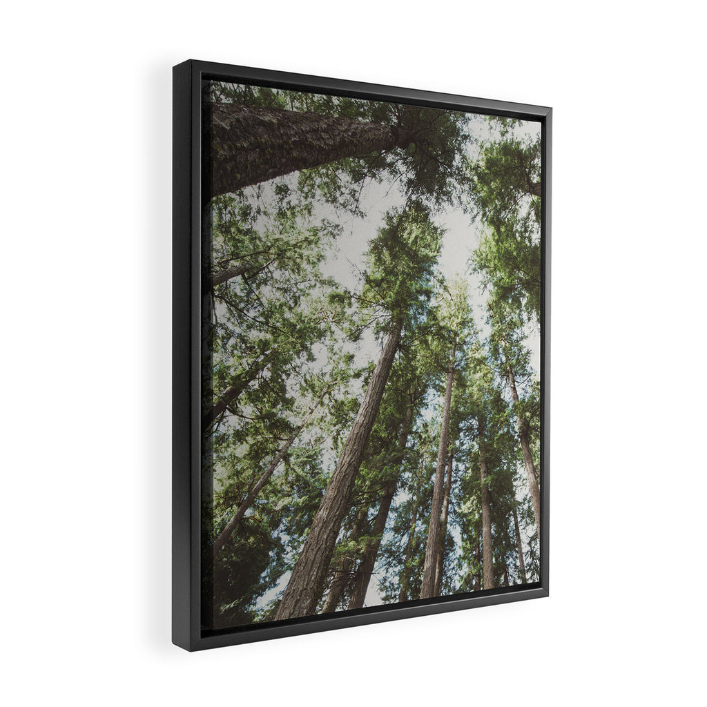 Higher Framed Canvas Print Gallery Image 2