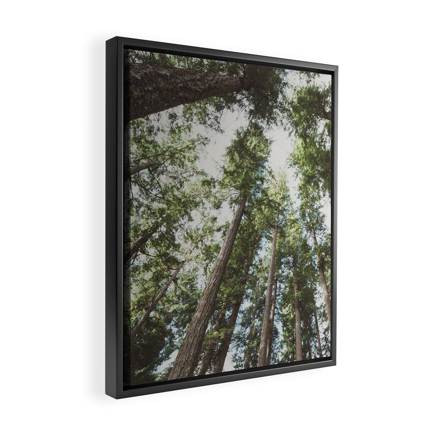 Higher Framed Canvas Print Gallery Image 2