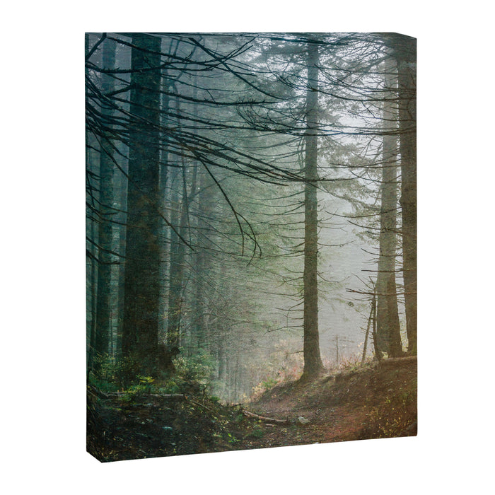 Into The Forest V - Pacific Northwest Nature Adventure Canvas Print Gallery Image 1