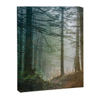 Into The Forest V - Pacific Northwest Nature Adventure Canvas Print Gallery Image 6