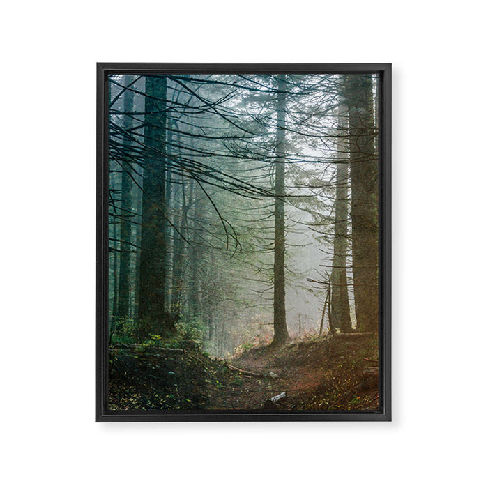 Into The Forest V - Pacific Northwest Nature Adventure Framed Canvas Print Gallery Image 1