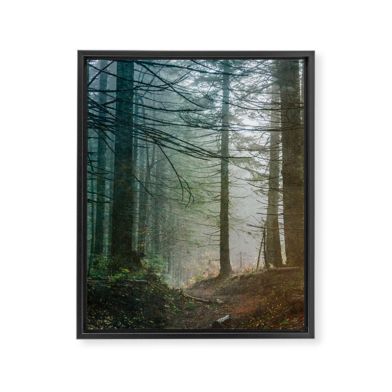 Into The Forest V - Pacific Northwest Nature Adventure Framed Canvas Print Gallery Image 6
