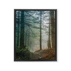 Into The Forest V - Pacific Northwest Nature Adventure Framed Canvas Print Gallery Image 6