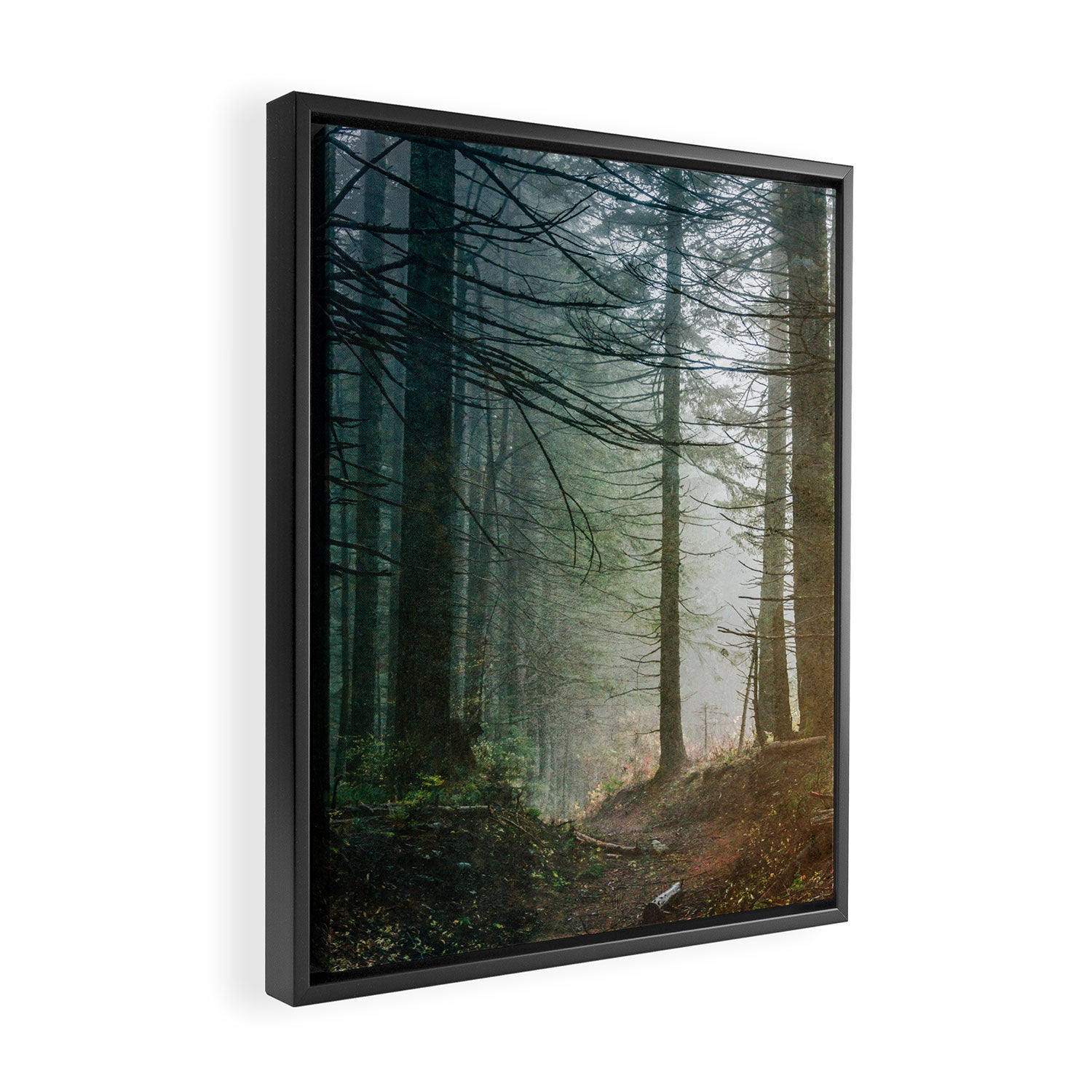Into The Forest V - Pacific Northwest Nature Adventure Framed Canvas Print Gallery Image 2
