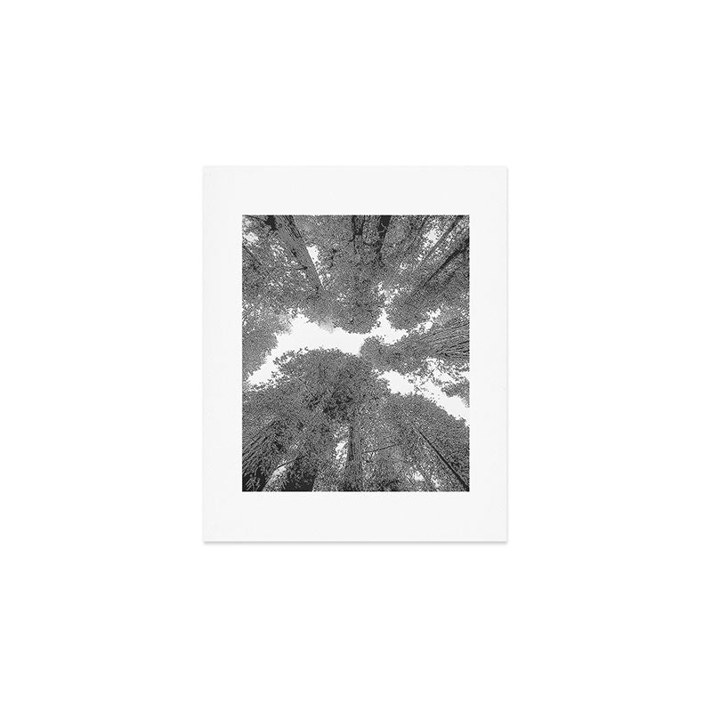 Into the Mist - Black and White Nature Photography Art Print Gallery Image 1