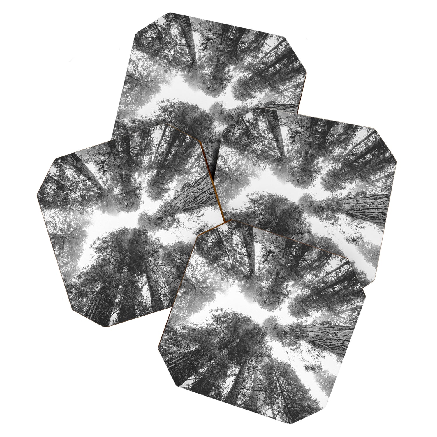 Into the Mist - Black and White Nature Photography Coaster Gallery Image 1