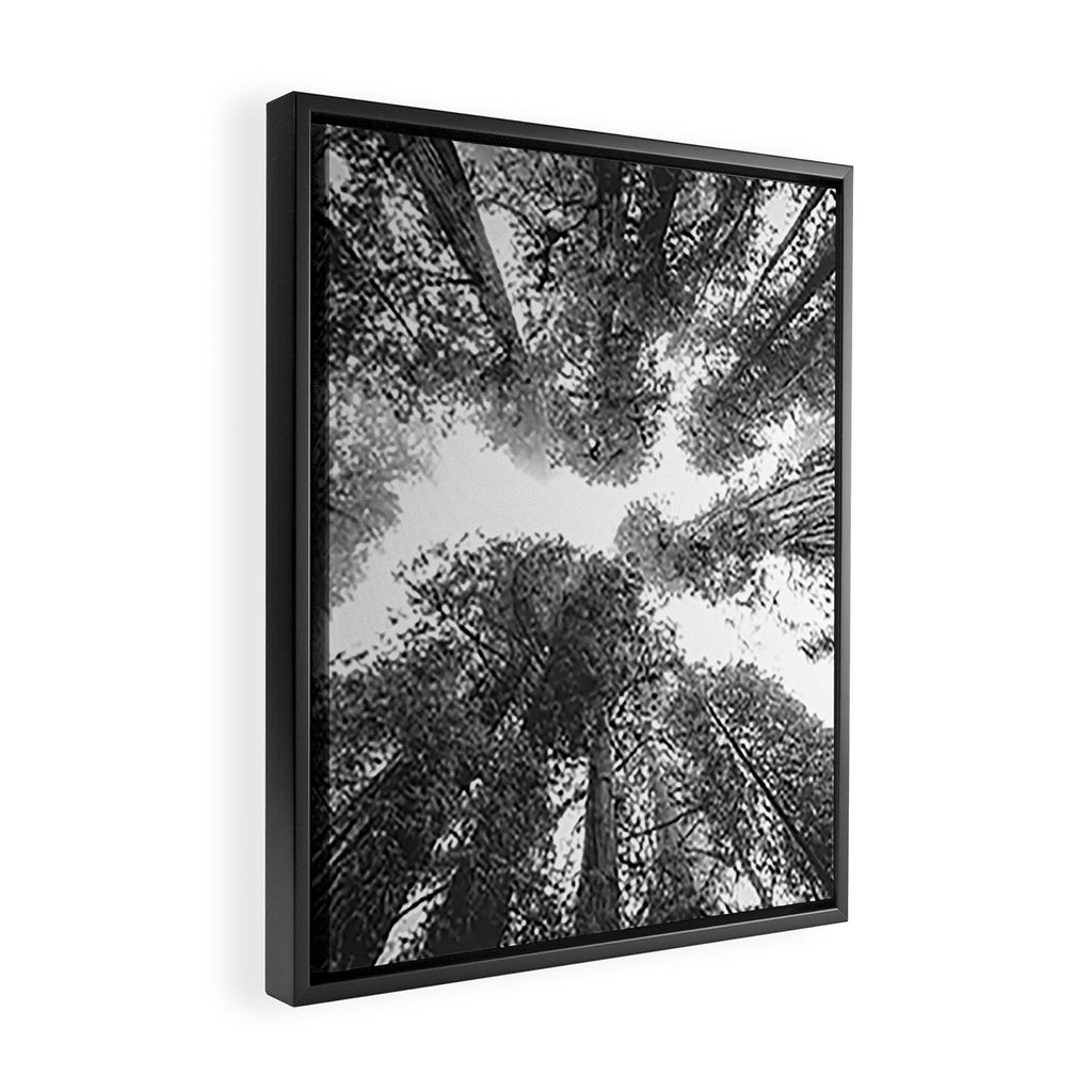 Into the Mist - Black and White Nature Photography Framed Canvas Print Gallery Image 2