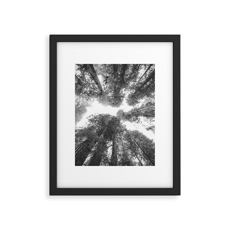 Into the Mist - Black and White Nature Photography Framed Art Print Gallery Image 5
