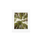 Into the Mist - Nature Photography Art Print Gallery Image 1