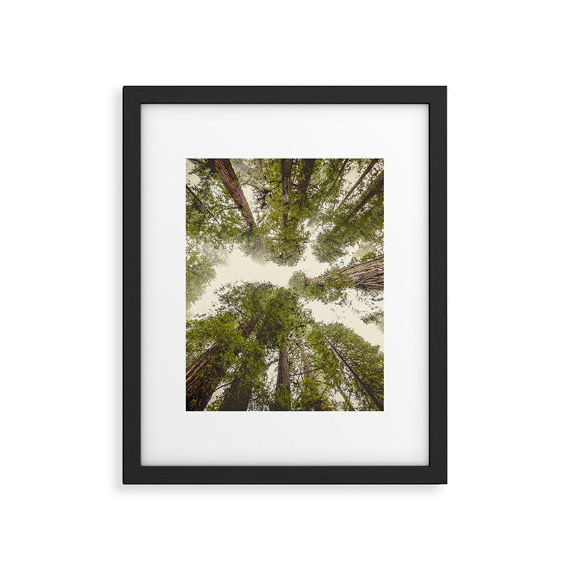 Into the Mist - Nature Photography Framed Art Print Gallery Image 5