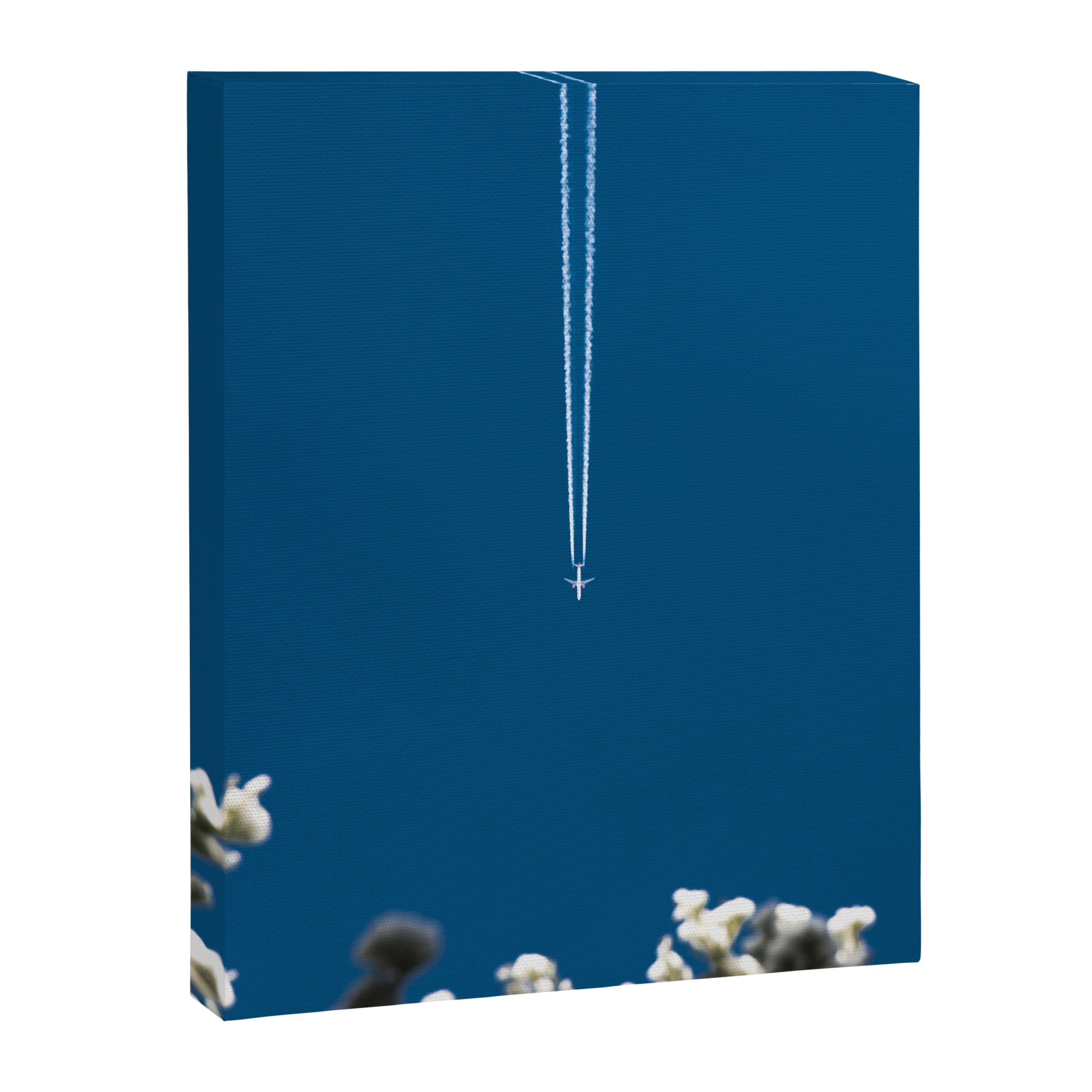 Jetset - Bluest Blue Canvas Print Gallery Image 6